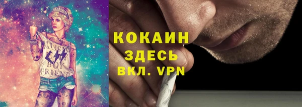 ешки Новозыбков