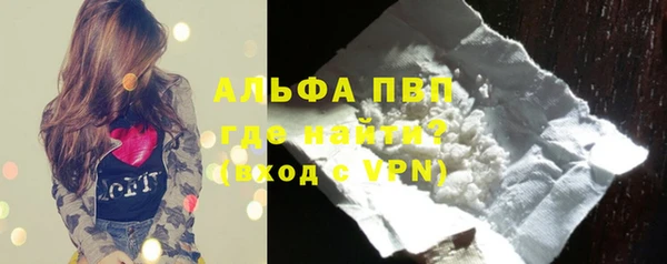 гашик Няндома