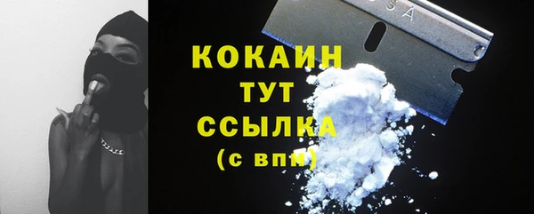 ешки Новозыбков