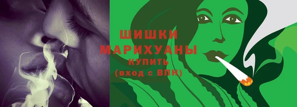 ешки Новозыбков