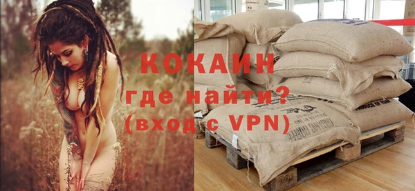 ешки Новозыбков