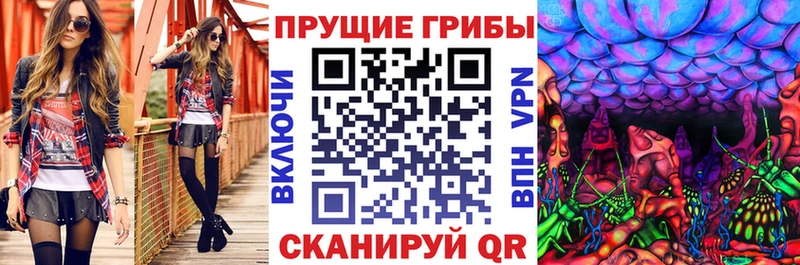 Галлюциногенные грибы Psilocybine cubensis  наркотики  Калининград 
