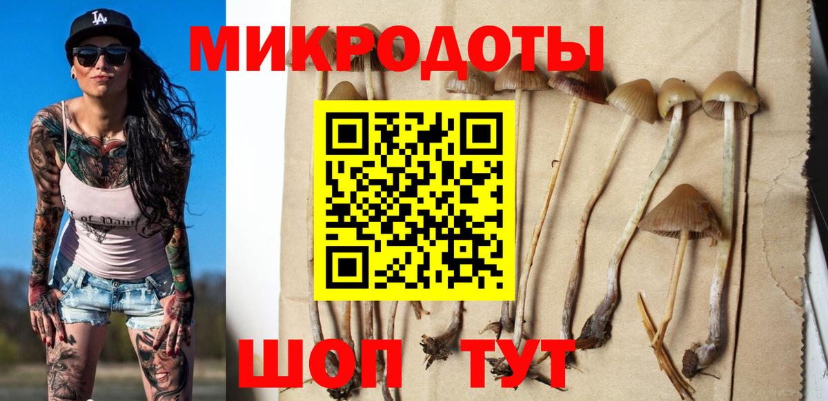 НБОМе Калининград